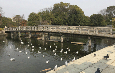 白鳥庭園