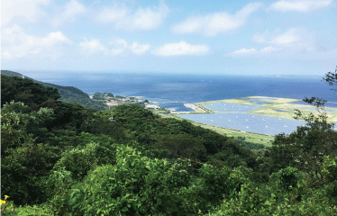 蔵王山展望台
